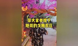 戈雅最新爆料是真的吗,真相还是炒作？
